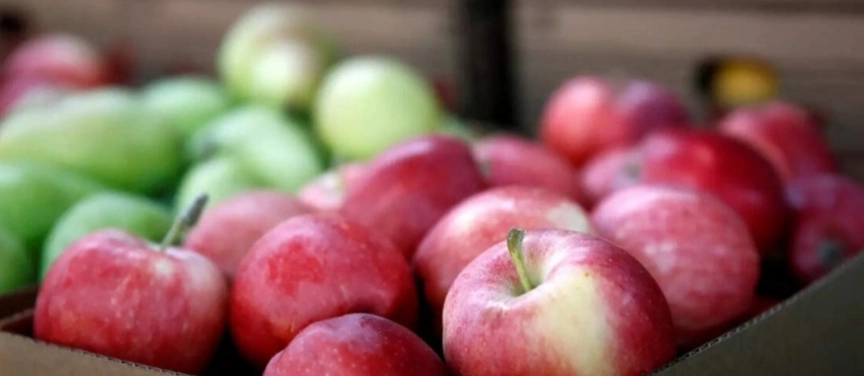 Fresh Fruits